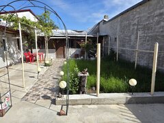 Alexandriei