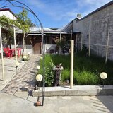 Alexandriei